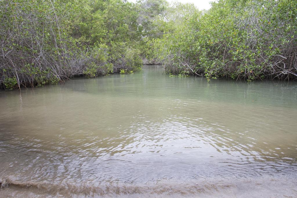 Paraiso de Isabela Puerto Villamil Bagian luar foto