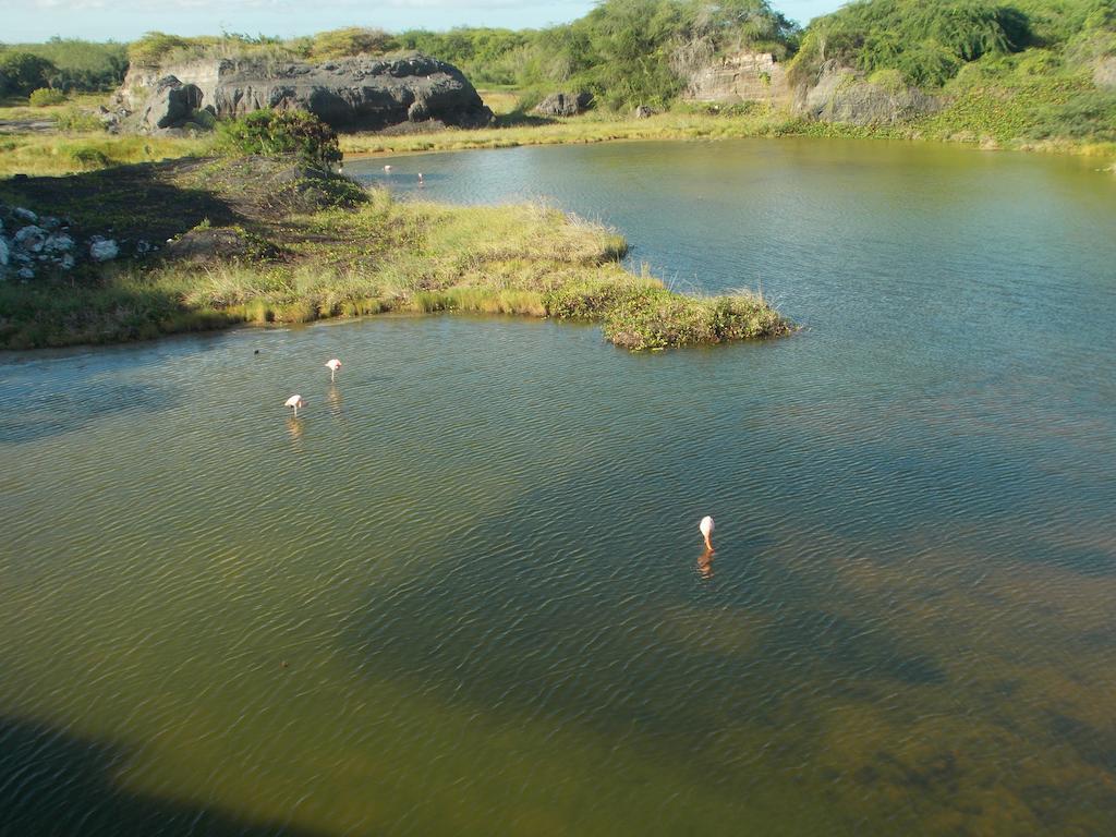 Paraiso de Isabela Puerto Villamil Bagian luar foto